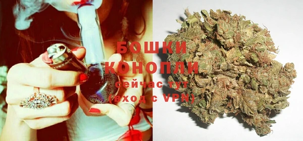 спайс Михайлов